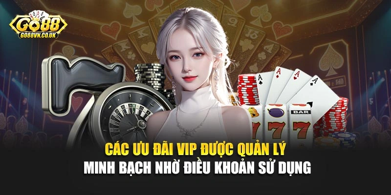 Các ưu đãi VIP được quản lý minh bạch nhờ điều khoản sử dụng